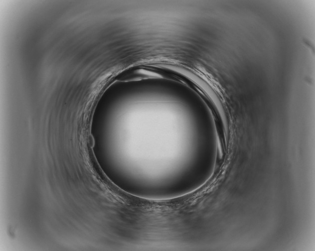 X0000091170193200708161505