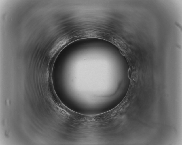 X0000091170194200708161505