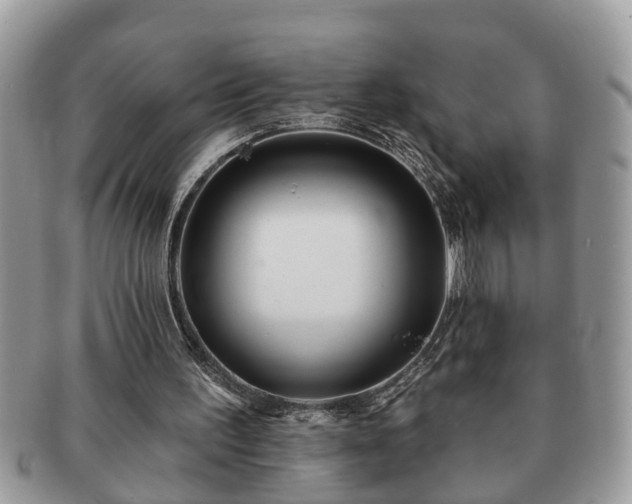 X0000091170195200708161505