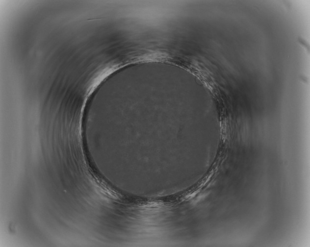 X0000091170196200708161505