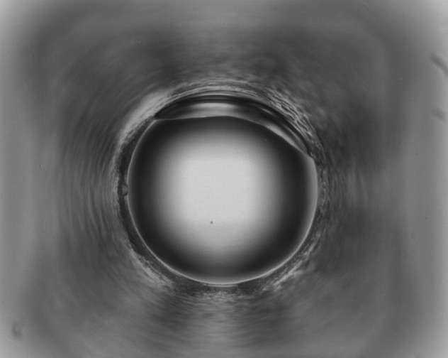 X0000091170197200708161505