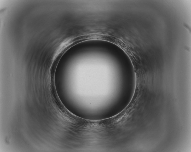 X0000091170198200708161505