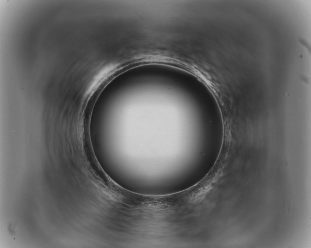 X0000091170199200708161505