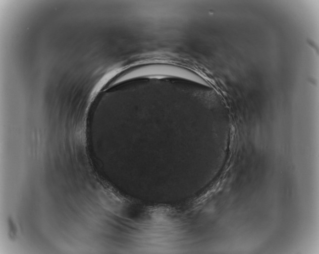 X0000091170200200708161505