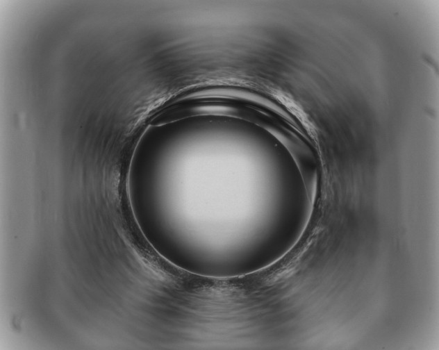 X0000091170201200708161505