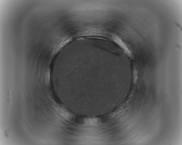 X0000091170202200708161505