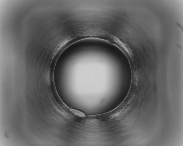 X0000091170203200708161505