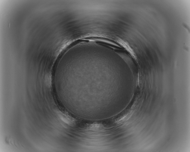 X0000091170204200708161505