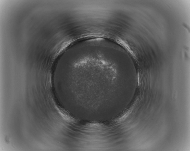 X0000091170205200708161505