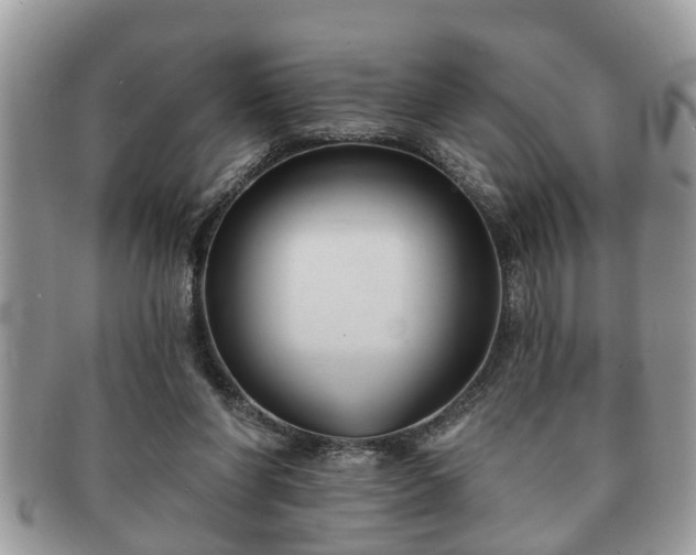 X0000091170206200708161505