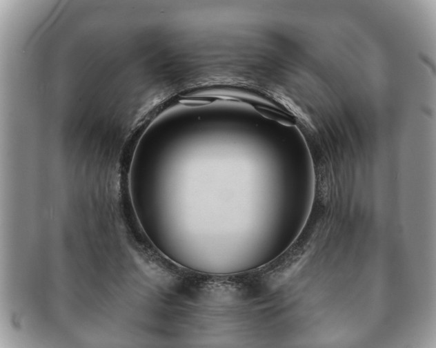 X0000091170207200708161505