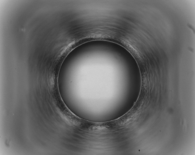 X0000091170208200708161505