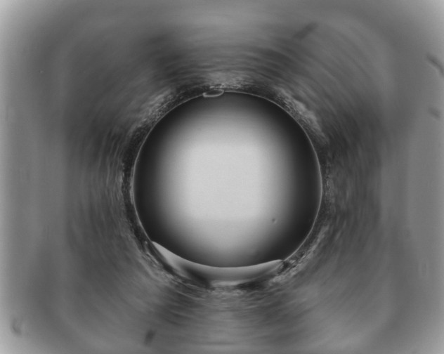 X0000091170209200708161505