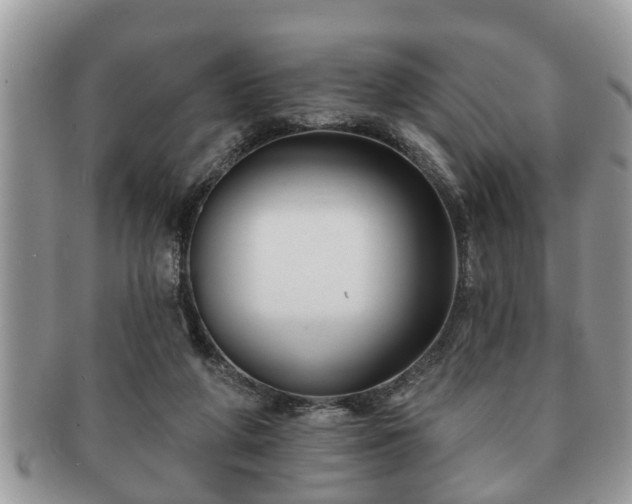 X0000091170210200708161505