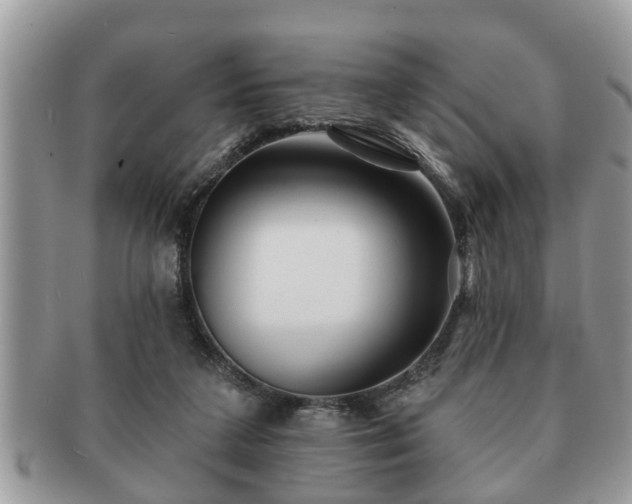 X0000091170211200708161505