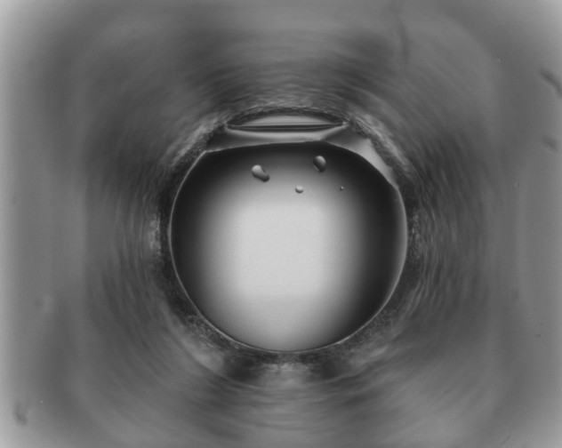 X0000091170212200708161505