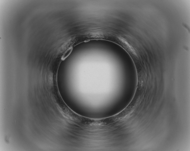 X0000091170213200708161505