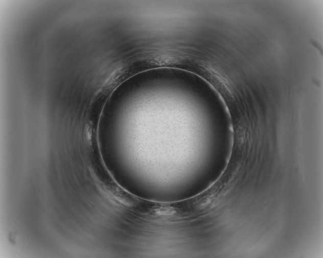 X0000091170214200708161505