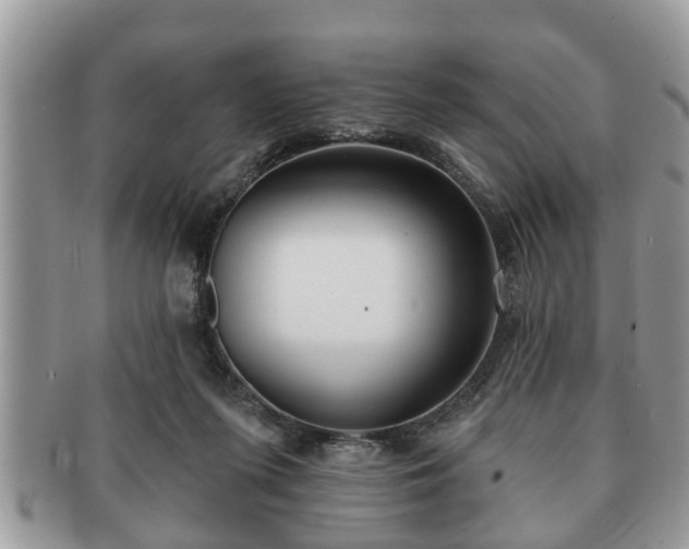 X0000091170215200708161505