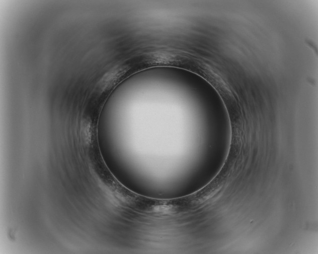 X0000091170216200708161505