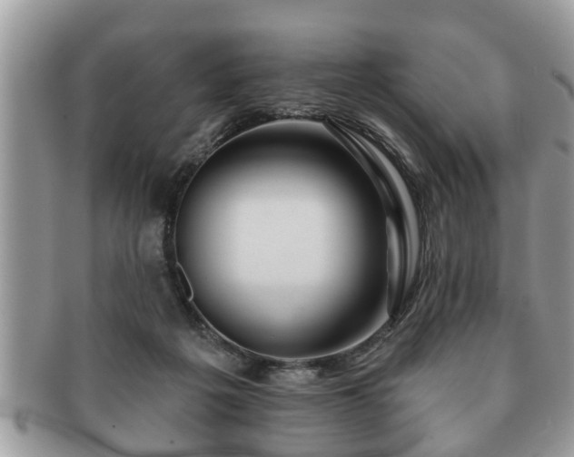 X0000091170217200708161505