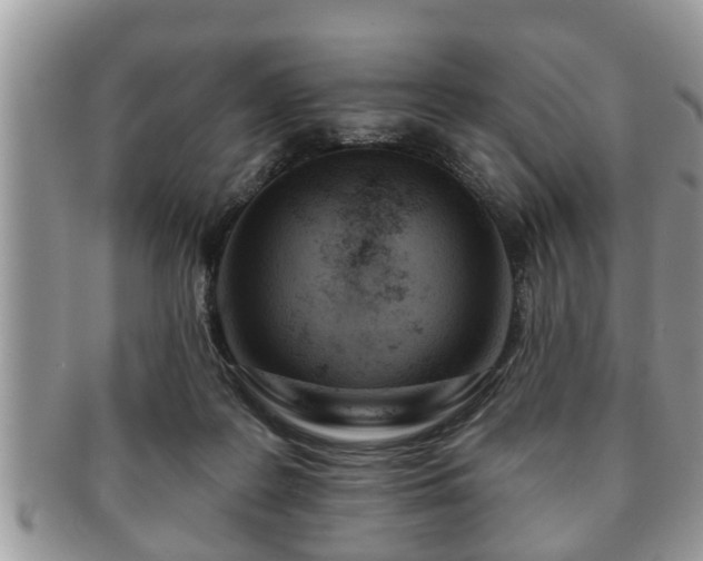 X0000091170219200708161505