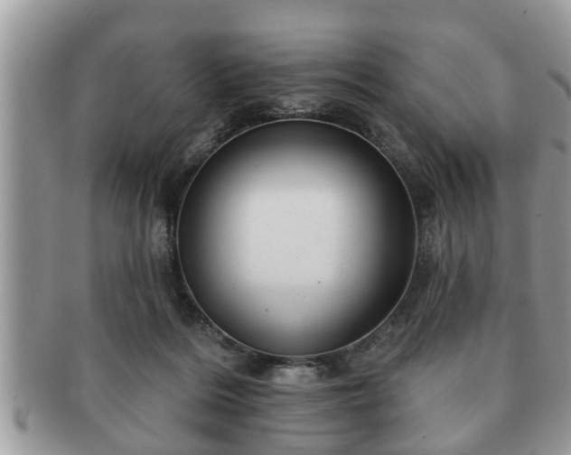 X0000091170220200708161505