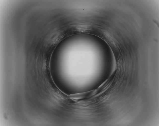 X0000091170221200708161505