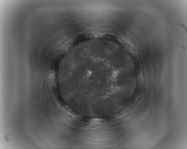 X0000091170222200708161505