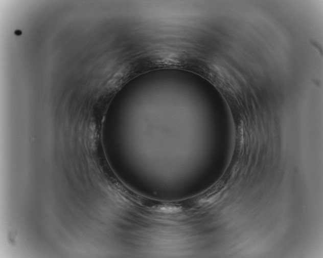 X0000091170223200708161505