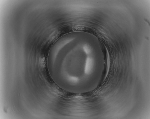 X0000091170224200708161505