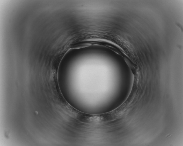 X0000091170225200708161505