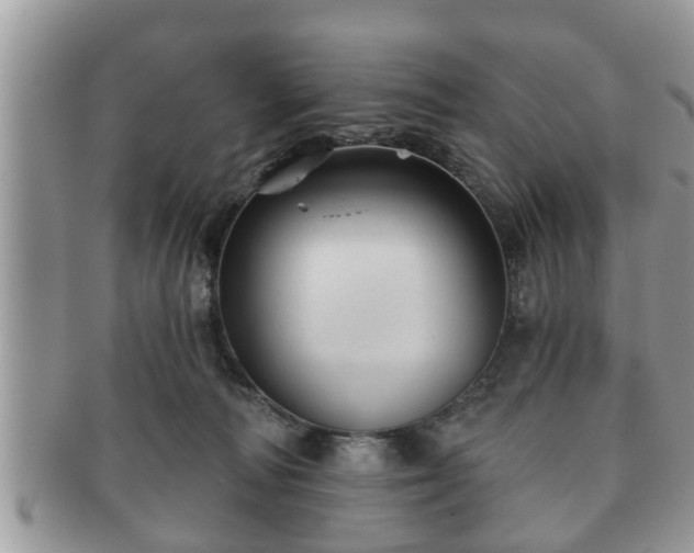 X0000091170226200708161505