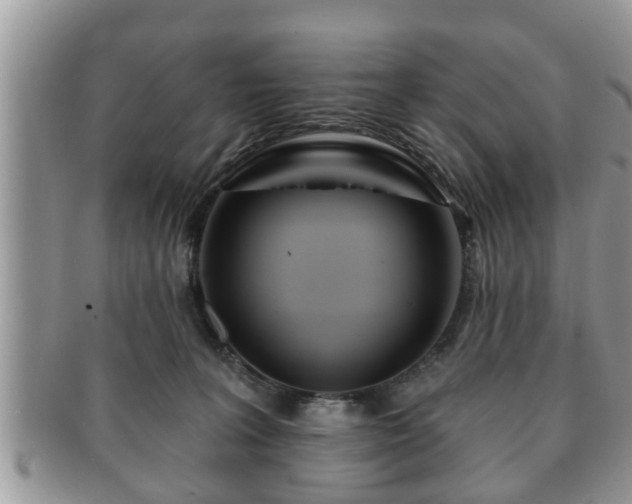 X0000091170227200708161505