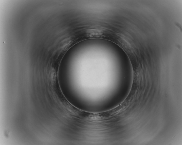 X0000091170228200708161505