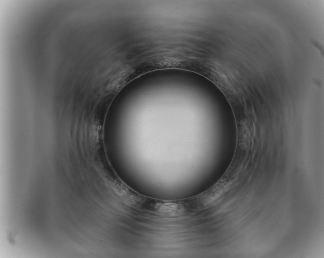 X0000091170230200708161505