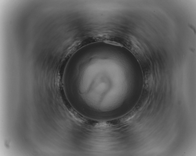 X0000091170231200708161505