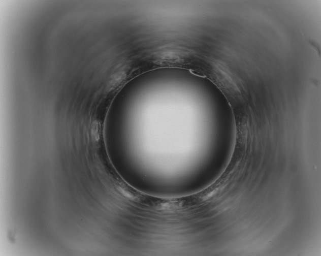 X0000091170232200708161505