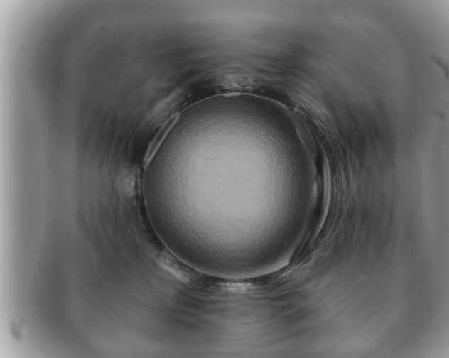 X0000091170233200708161505