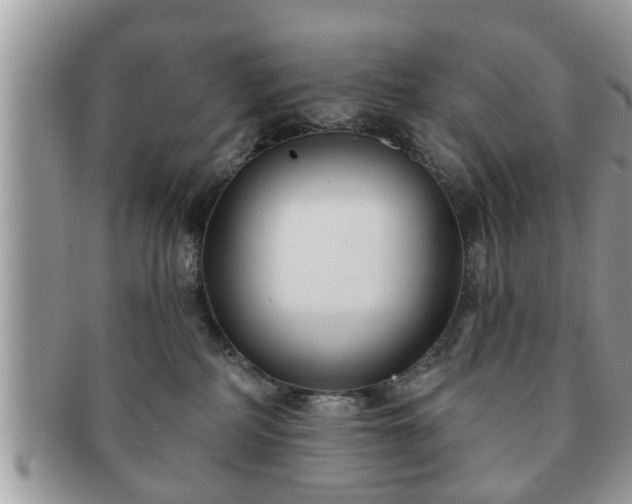 X0000091170234200708161505