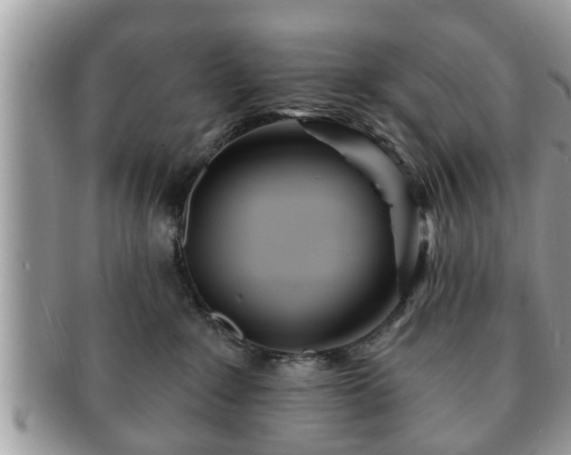 X0000091170235200708161504