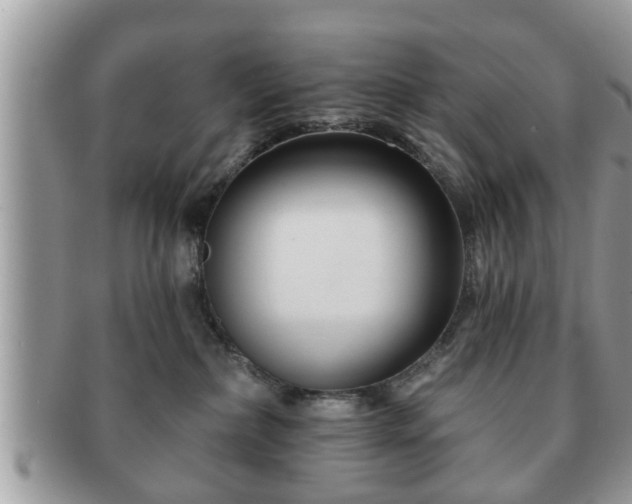 X0000091170236200708161504