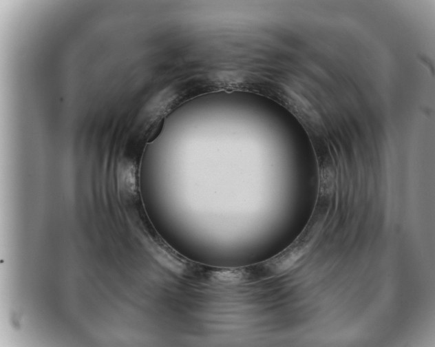 X0000091170238200708161504