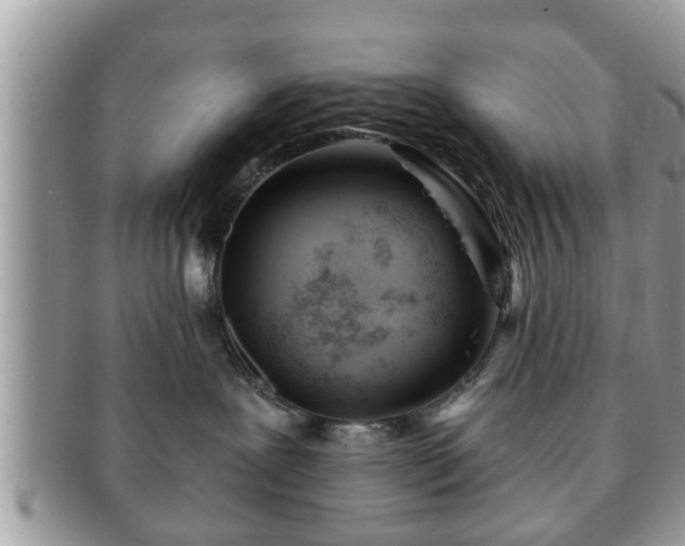 X0000091170239200708161504