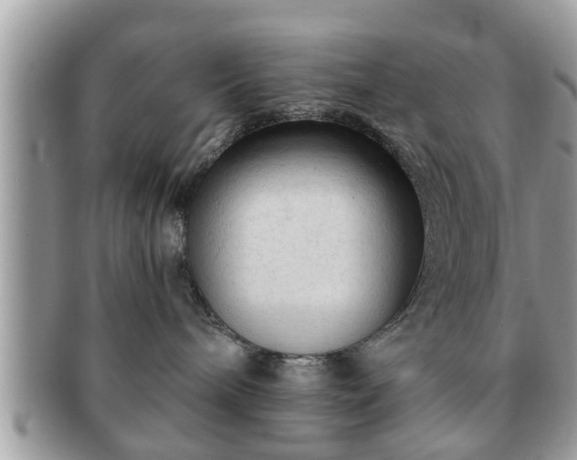 X0000091170240200708161504