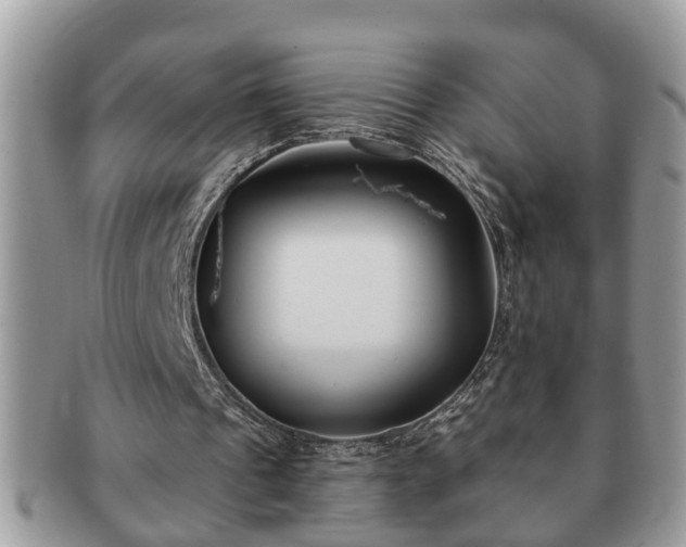 X0000091170241200708161504