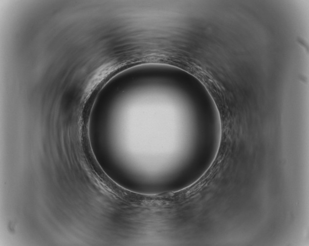 X0000091170242200708161504