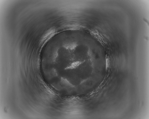 X0000091170243200708161504