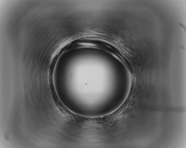 X0000091170244200708161504