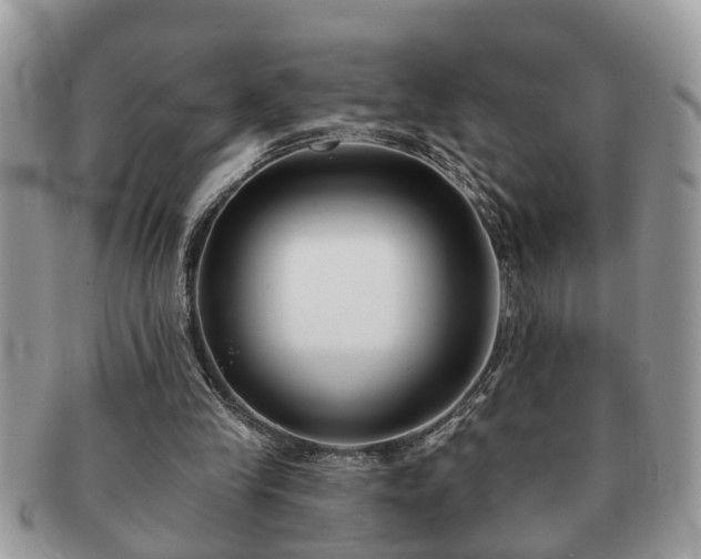 X0000091170245200708161504